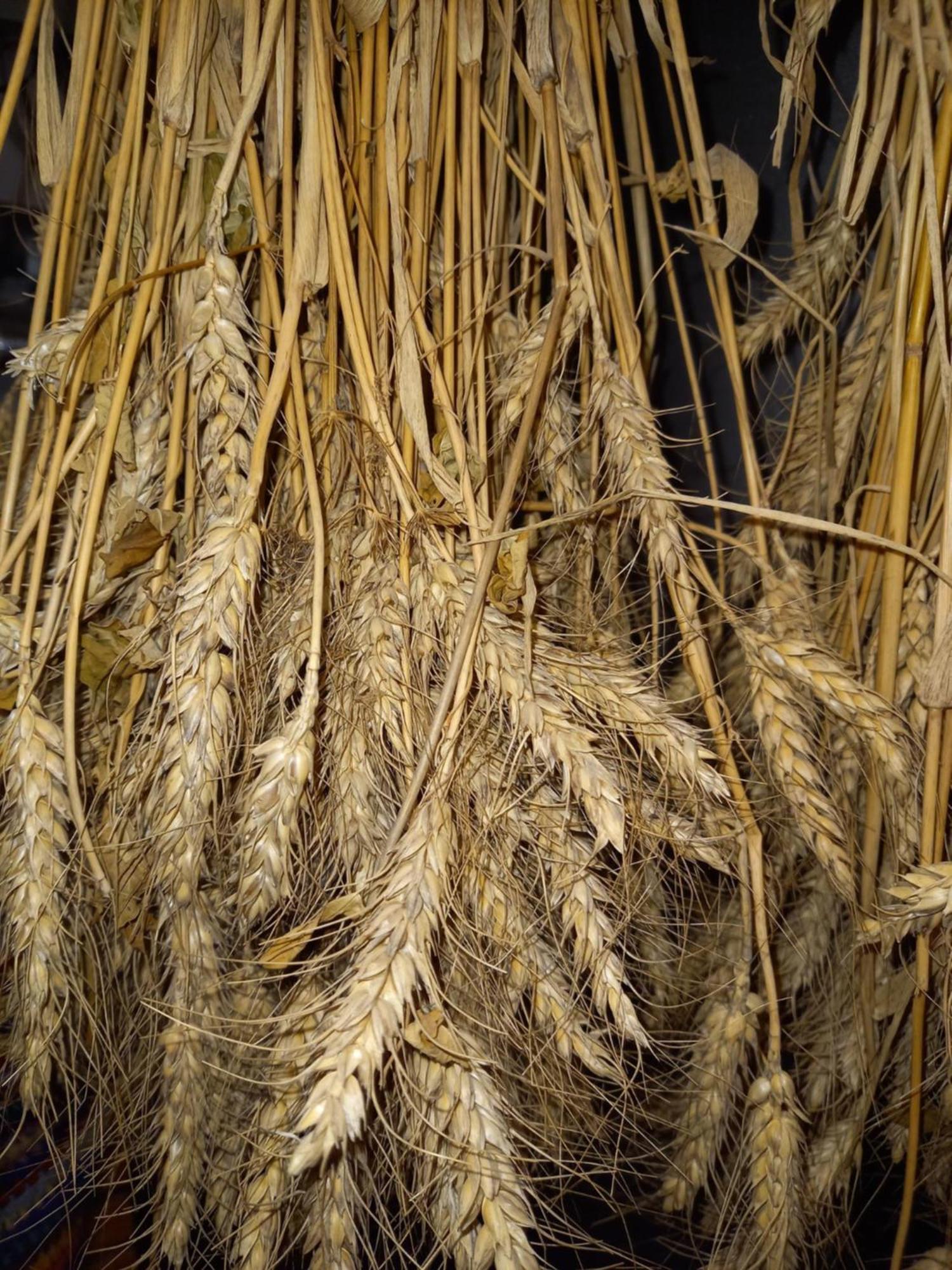 Fruehstueckspension Muellergut Sankt Martin bei Lofer Zewnętrze zdjęcie